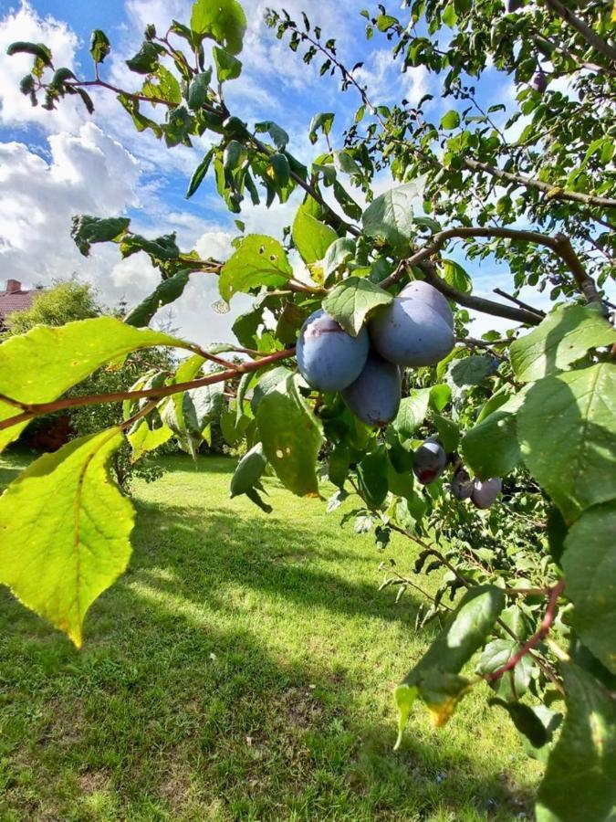 Familienhof Mueritz Lägenhet Klein Plasten Exteriör bild