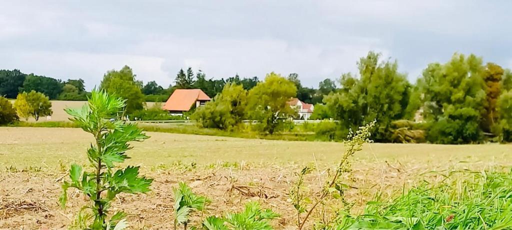 Familienhof Mueritz Lägenhet Klein Plasten Exteriör bild