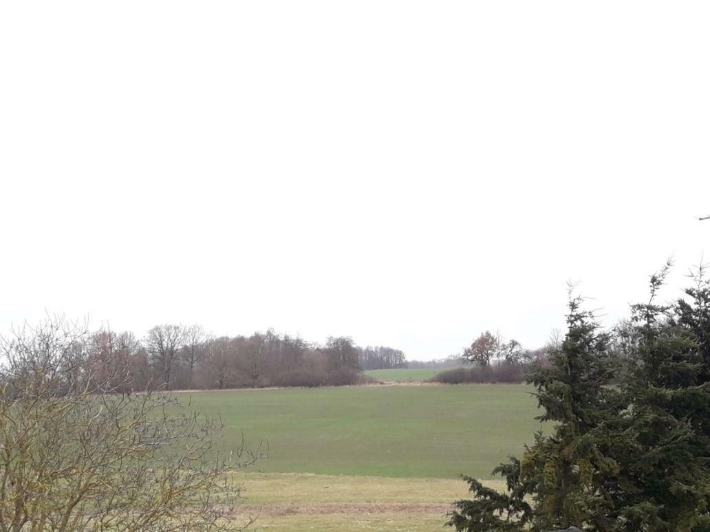 Familienhof Mueritz Lägenhet Klein Plasten Exteriör bild